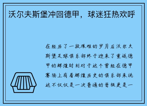 沃尔夫斯堡冲回德甲，球迷狂热欢呼